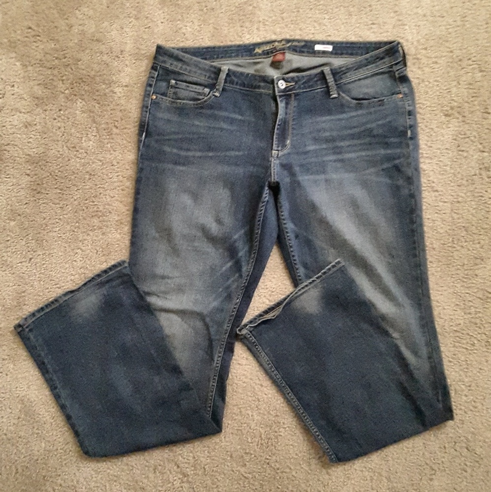 Arizona Jean Co | 17L Bootcut